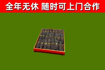 龙港烟酒回收海参.jpg